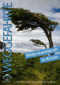 Der Weggefährte: Widerstandskraft in Krisen