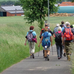 Rückansicht von wandernden Menschen mit Rucksäcken